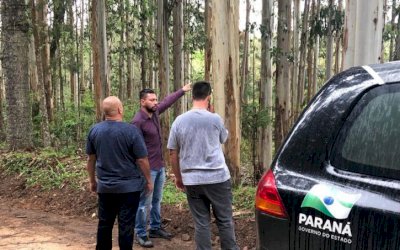 Empresário diz que pegou Daniel na cama com esposa gritando, mas só matou ao ver celular