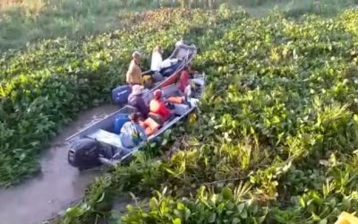 Excesso de vegetação deixa 35 pessoas ilhadas em barcos encalhados no Pantanal de MS