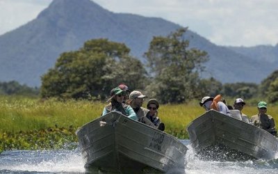 MS - Pesquisadores da UFPR podem produzir antibióticos para tratamento de câncer e reconhecer novas espécies da biodiversidade a partir de expedição científica