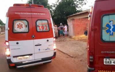 Motorista perde controle de veiculo arranca árvore e derruba muro