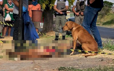 Após tentar salvar o dono, cachorro permanece ao lado do corpo