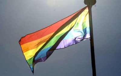 Paradas virtuais celebram Dia do Orgulho LGBTI no Brasil e no mundo