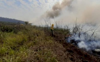 Queimadas no Pantanal já destruíram 821 mil hectares, estima Ibama-MS