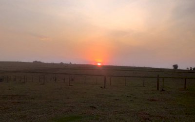 Terça-feira de sol entre nuvens e máxima de 35°C no Estado