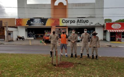 Corpo de Bombeiros Militar em Nova Andradina realizou o plantio de árvores na cidade de Nova Andradina.