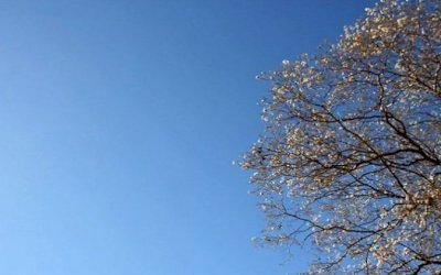 Quinta-feira de tempo firme e sem chuva em todo o Mato Grosso do Sul