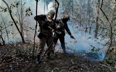 Força Nacional vai reforçar combate aos incêndios no Pantanal