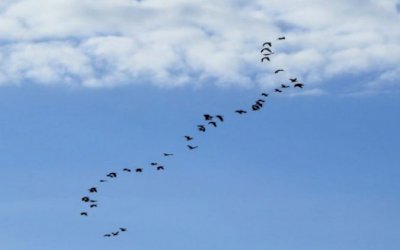 Fim de semana será de tempo instável e temperaturas amenas