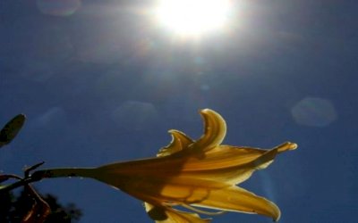 Feriado de finados será de tempo aberto em todo Estado