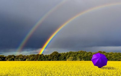 Primavera começa com chuva no Sudeste brasileiro