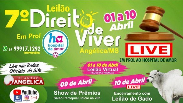 Angélica: Vem aí o 7º Leilão Direito de Viver em prol do Hospital de Amor
