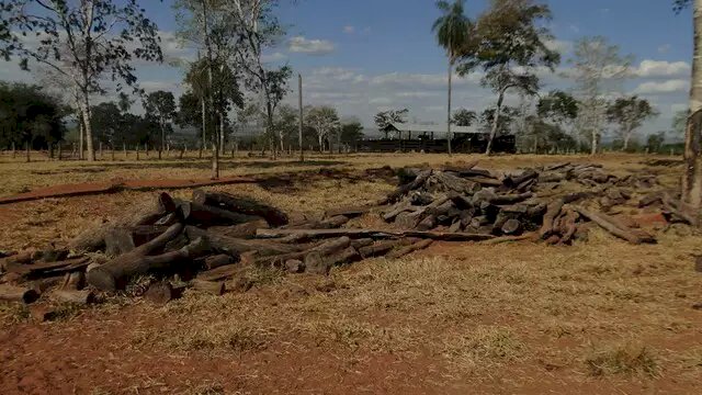 Em um ano, desmatamento cresce 15% no Pantanal; nos Cerrados o índice é de 20%.