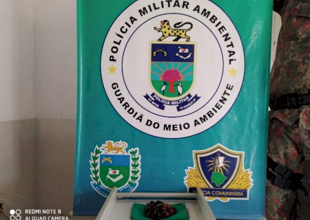 PMA de Miranda autua comerciante em R$ 6 mil por comércio ilegal de minhocoçus e orienta que para lei minhoca é animal silvestre como qualquer outro e seu uso necessita licença