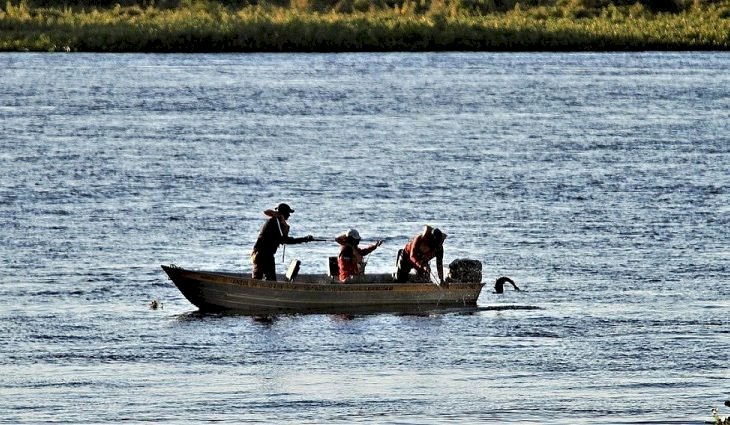 Piracema chega ao fim e temporada de pesca em MS é reaberta nesta quarta-feira.