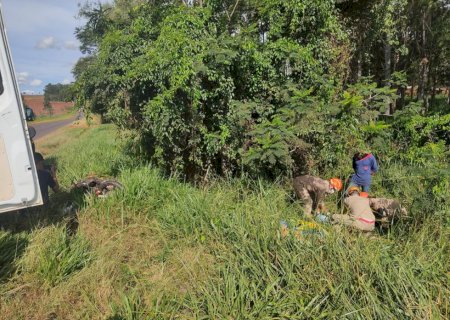 Ivinhema - Acidente na BR -376 deixa um motociclista com ferimentos graves.