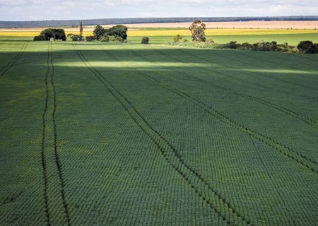 Estudo aponta desafios do seguro rural em meio a mudanças climáticas.