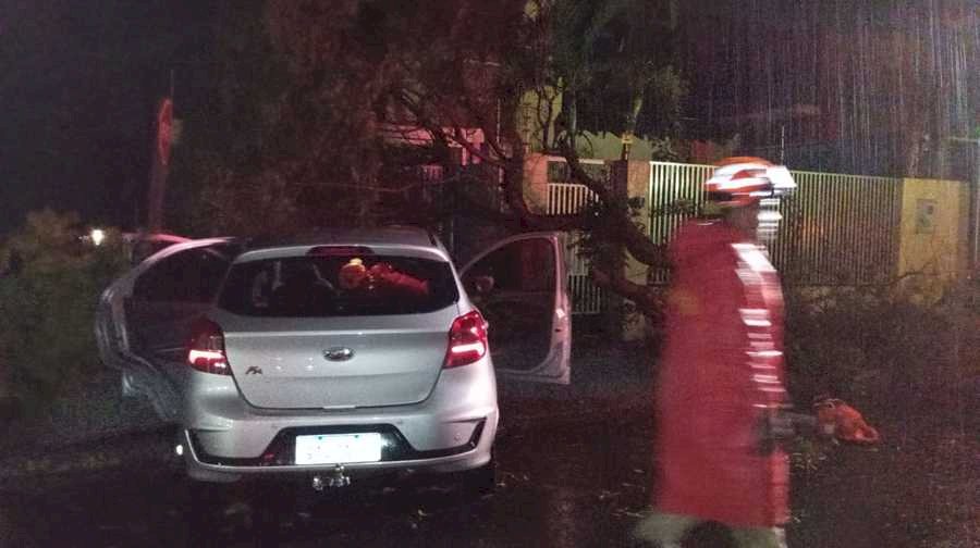 Árvore cai e atinge carro ocupado por mulher durante temporal em Nova Andradina