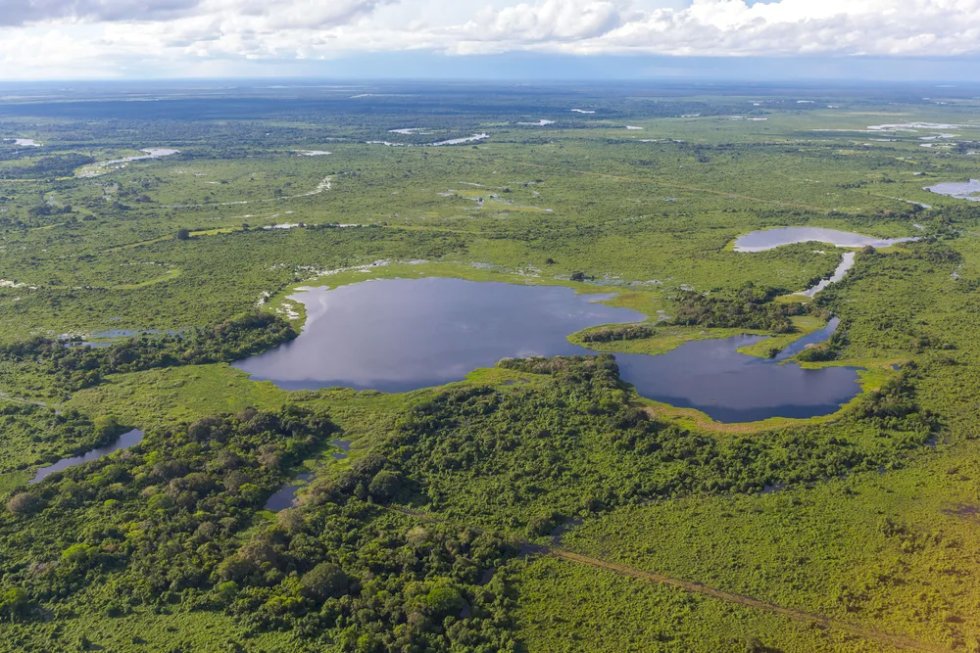 Lei do Pantanal: projeto entregue tenta equilibrar preservação e exploração sustentável no bioma