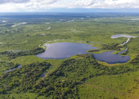 Lei do Pantanal: projeto entregue tenta equilibrar preservação e exploração sustentável no bioma
