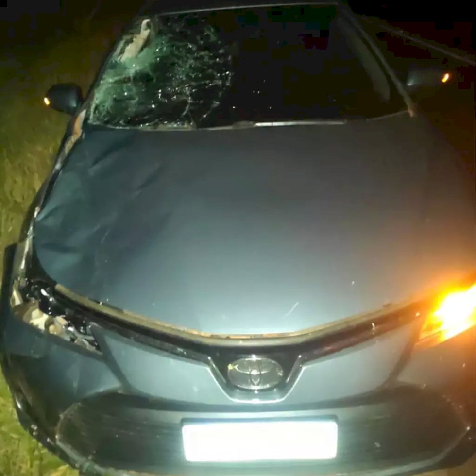 Homem e criança morrem após serem atropelados por carro em rodovia