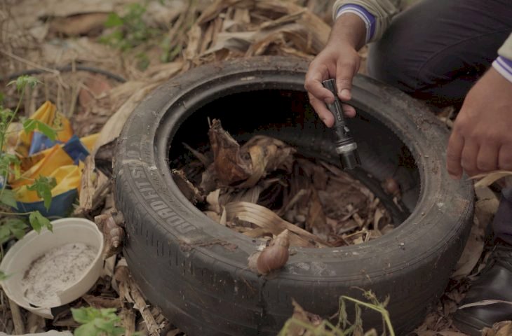 Boletim Epidemiológico: MS registra 13.470 casos confirmados de dengue