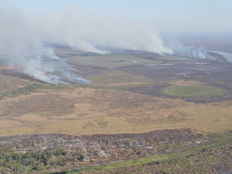 PF investiga incêndios criminosos na região do Pantanal