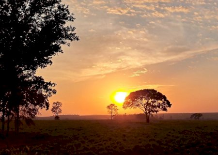 MS vai de calor extremo e umidade de deserto a chance de chuva com frio de 10ºC