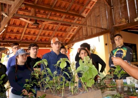 Ivinhema - Agraer e Instituto Federal de Naviraí realizam aula prática de enxertia