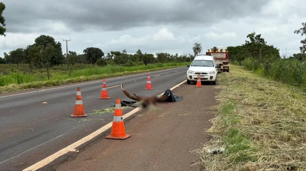 Criança morre em acidente entre carro e caminhão prancha na BR-267 próximo a Nova Alvorada do Sul