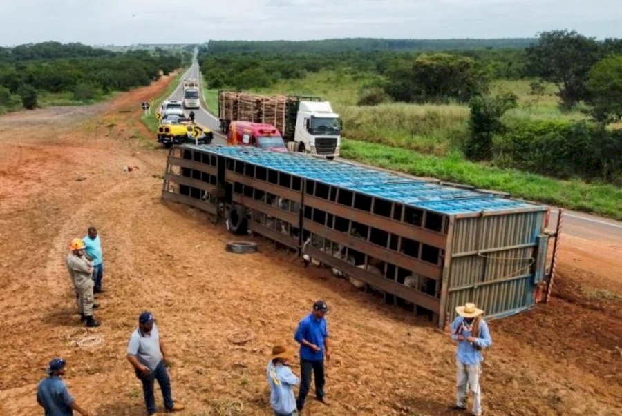 Carreta boiadeira de Nova Andradina tomba na MS-395, entre Brasilândia e Bataguassu