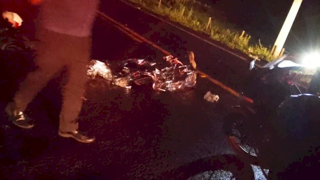Capivara atravessa rodovia e causa acidente fatal na MS - 450