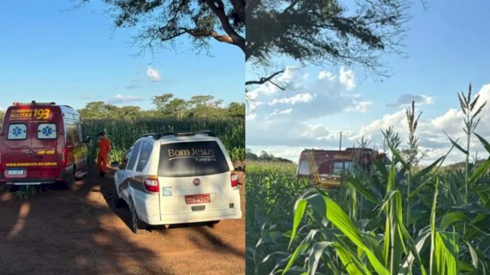 Homem é encontrado morto em plantação de milho