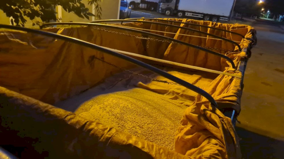 Grupo acusado de furtar 500 quilos de ração é preso pela Guarda Municipal