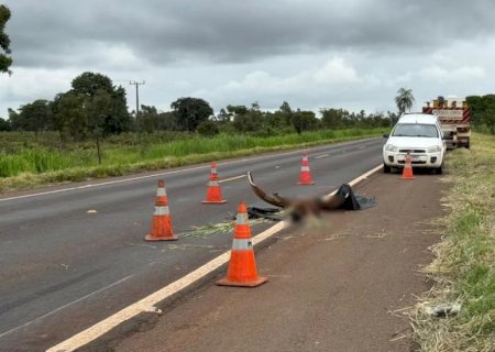 Criança morre em acidente entre carro e caminhão prancha na BR-267 próximo a Nova Alvorada do Sul