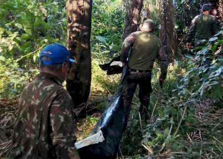 Cunhado encontra corpo de caseiro atacado por onça