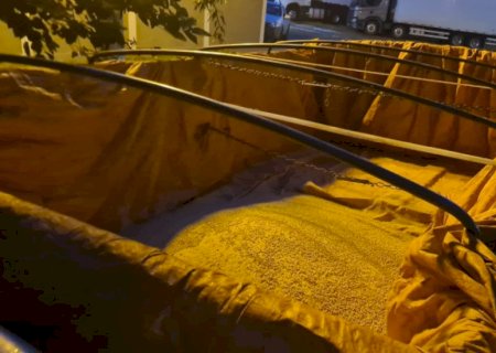 Grupo acusado de furtar 500 quilos de ração é preso pela Guarda Municipal