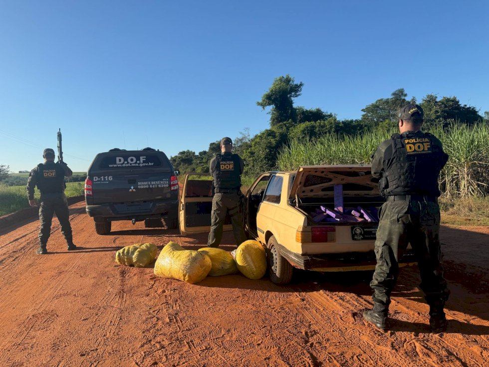 DOF apreende 350 quilos de drogas