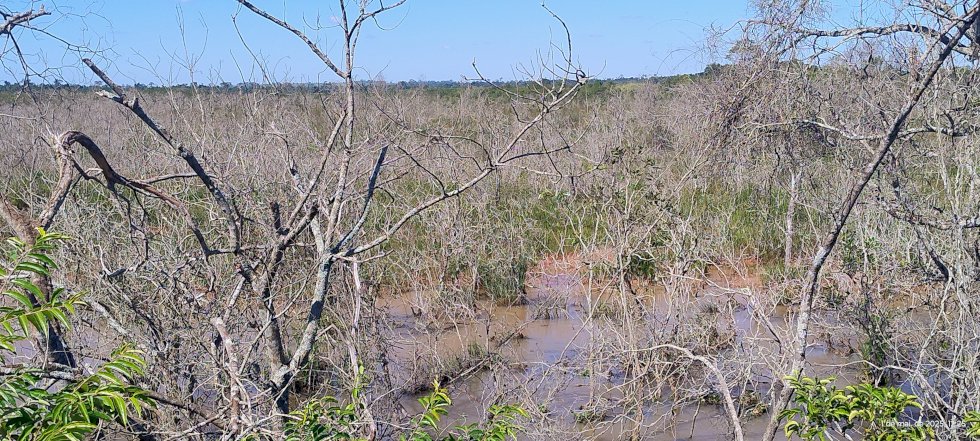 Angélica — Reserva de 17 alqueires é destruída pela invasão das águas e areia no Rio Piraveve