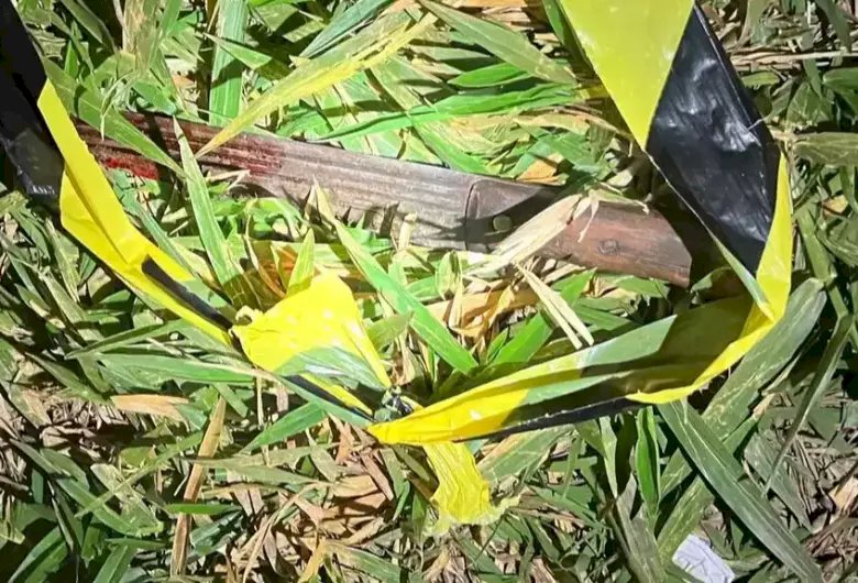 Homem é morto com facada no tórax durante desentendimento com colega em fazenda