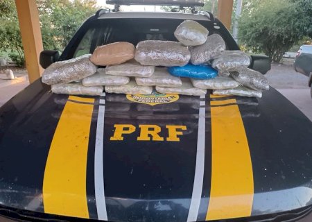PRF apreende 10 Kg de skunk