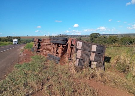 Caminhão boiadeiro carregado com gado tomba na BR -267
