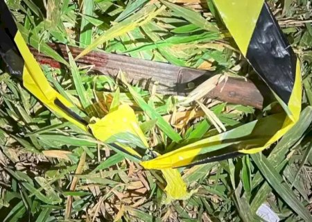 Homem é morto com facada no tórax durante desentendimento com colega em fazenda