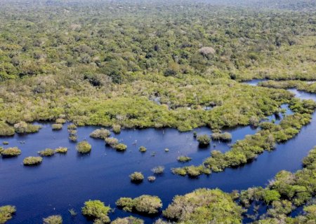 Quase todos os biomas registraram redução do desmatamento em 2024