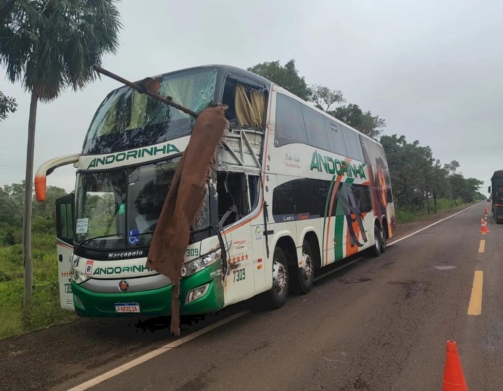 Acidente entre ônibus e caminhão deixa mortos e feridos na BR-262