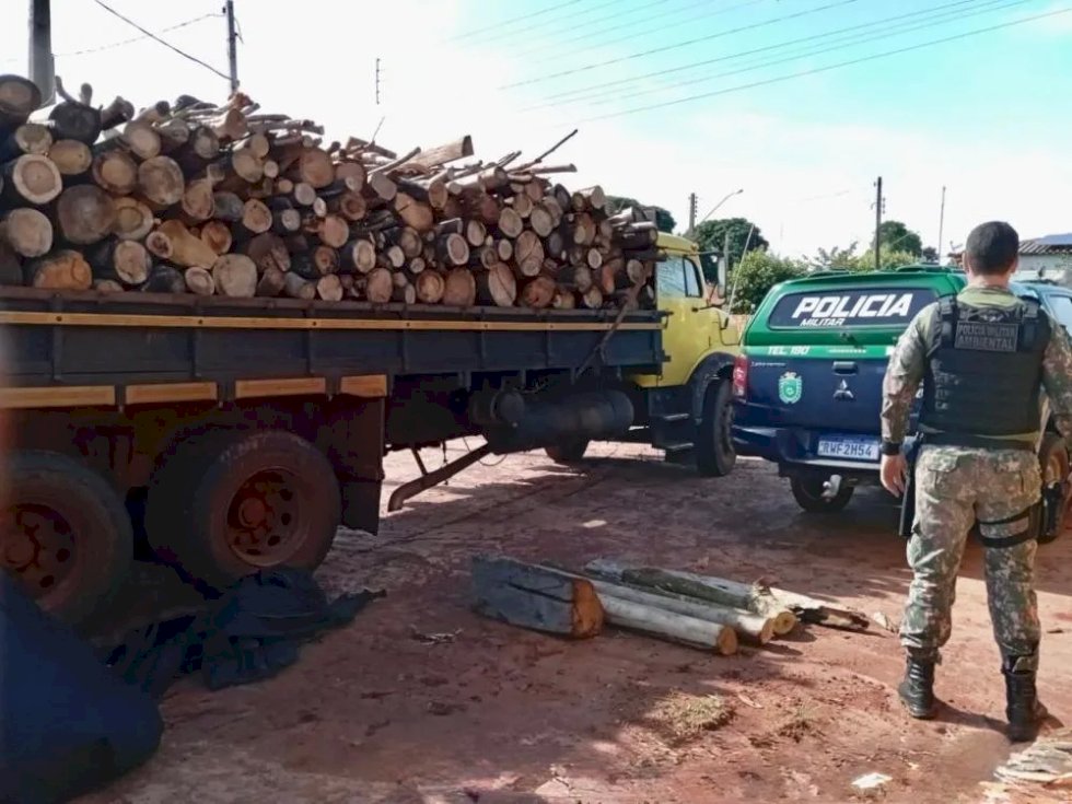 Polícia Ambiental apreende carga de madeira nativa e multa madeireira e transportadora em Anaurilândia