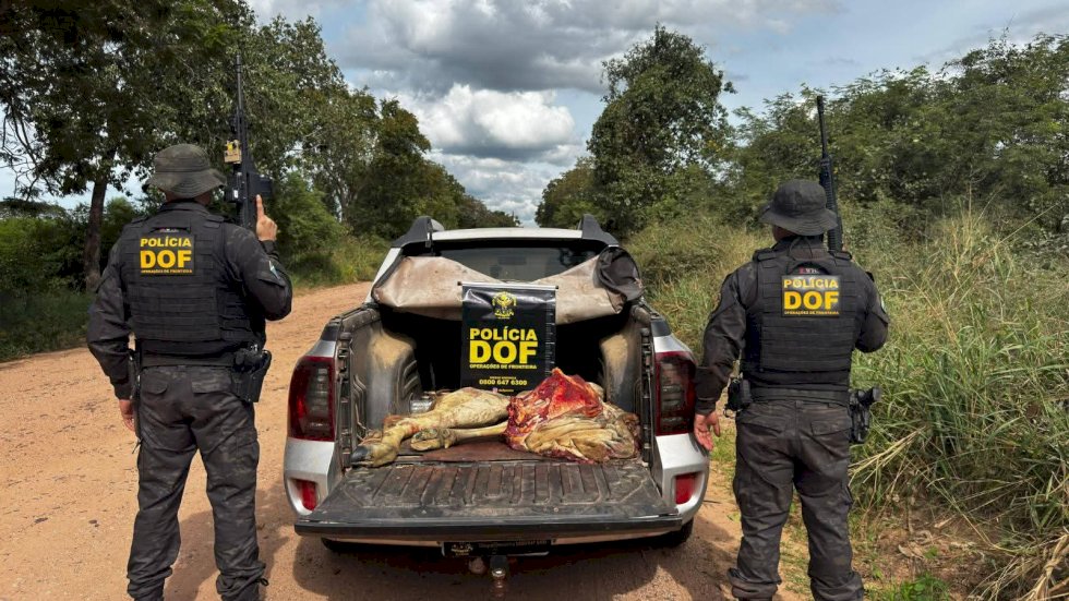 DOF prende cinco pessoas pelo crime de abigeato