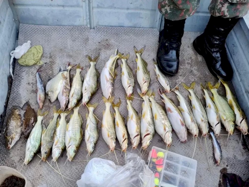 Pescadores profissional e amadores são presos por pesca ilegal no Rio Pardo, em Bataguassu