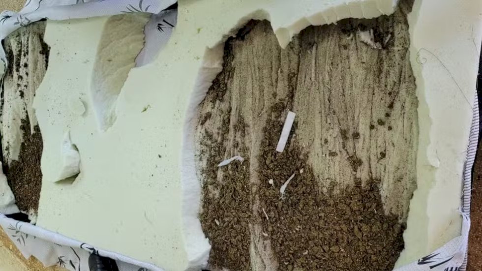Advogada é presa tentando entrar com colchão recheado de maconha em presídio