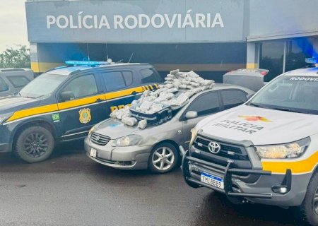 Em ação conjunta com a PM/SP, PRF apreende 66,5 kg de skunk