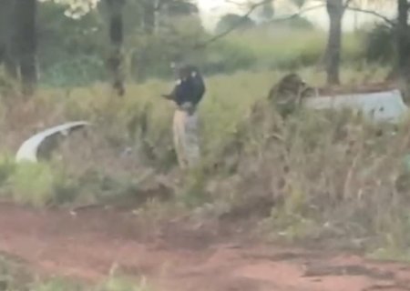 Ivinhema - PRF apreende 818 Kg de maconha e recupera veículo